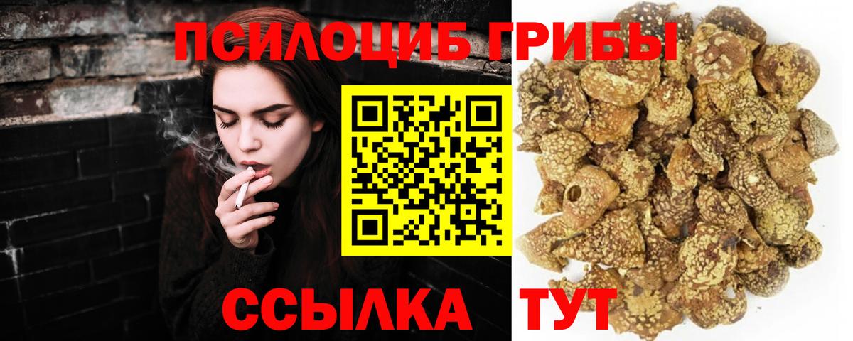 Псилоцибиновые грибы мухоморы  Вход с VPN  Волгодонск  Галлюциногенные грибы прущие грибы 