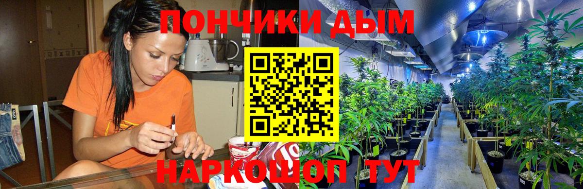 Бошки Шишки ГИДРОПОН  Вход с VPN  Волгодонск  Канабис AK-47  Бошки Шишки VHQ  Марихуана White Widow 